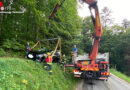 Oö: Beim Rückwärtsfahren in Ternberg auf Hang zum Stillstand gekommen