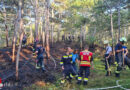 Nö: Waldbrand im Bereich Gainfarn Mariazeller Zwickl → 6 Wehren im Einsatz