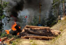 Ktn: Radbagger mit Harvesterkopf geht explosionsartig in Flammen auf
