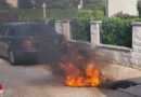 Nö: Rasenmäher geht beim Starten in Felixdorf blitzschnell in Flammen auf