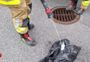 Nö: Felixdorfer Feuerwehr muss zu Mistkübelkleinbrand anrücken
