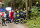 Nö: Schwammerlsucher findet nahe des Imbacher Burgtalgraben abgängige Person in Notlage