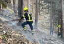 Nö: 115 Hektar-Waldbrand in Hirschwang | Reichenau/Rax → Bilanz BFKDO Wiener Neustadt zum vorläufigen Ende