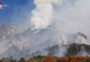 Nö: Endlich → “Vorübergehendes Brand aus” beim großen Waldbrand von Hirschwang