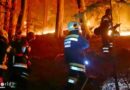 Nö: Auch Feuerwehrleute aus dem Bezirk Baden unterstützen beim großen Waldbrand in Hirschwang a.d. Rax