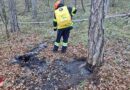 Nö: Waldbrand in Sooß noch rechtzeitig entdeckt