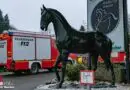 D: Intensivtraining der Feuerwehr Wenden am Reiterhof zur Festigung ihrer Kompetenz im Umgang mit Großtieren