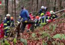 Oö | Nö: Schwerer Forstunfall im schwierigen Gelände im oberösterreichisch-niederösterreichischen Grenzgebiet