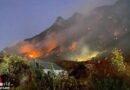 Oö | Nö: Feuerwehr Reichraming → Spezialisten im Waldbrandeinsatz an der Rax (01.11.2021)