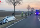 Bgld: Wildunfall auf der B63 bei Riedlingsdorf