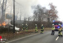 D: Auto brennt nach Anprall an Baum in Bochum