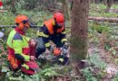 Bayern: Training im Umgang mit der Motorsäge → 64 Feuerwehrler trainieren deren Einsatz