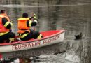 Oö: Feuerwehr befreit festgefrorene Ente