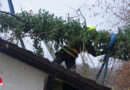 Oö: Baum kracht während Stumböen in Steyr-Münichholz auf ein Wohnhaus