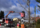 Nö: Sturmschaden-Einsatz in Dietmanns