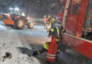 Oö: Umgestürzter Baum blockierte Straße in Garsten