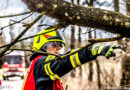 Sbg: Baum stürzt bei Berndorf auf Pkw → 23-Jährige eingeschlossen und verletzt