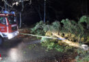 D: Sturmeinsätze im Landkreis Harburg am Abend des 29.01.2022