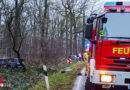 D: Pkw bei Unfall in Lehrte durch die Luft gewirbelt und im Wald gelandet