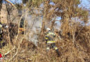 Ktn: Böschungsbrand in Döbriach (Radenthein)