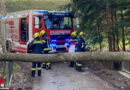 Oö: Rund 3.000 Fw-Leute bei Sturm über Oberösterreich am 17.02.2022 im Einsatz