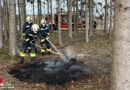 Nö: Brand eines Holzhaufens zwischen den Bäumen in Groß Siegharts