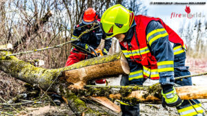 Schweiz: Baumkrone strzt bei Gewitter in Zofingen auf 15-Jhrige