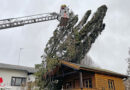 Nö: Baum stürzt während Sturm auf Gartenhaus in Waidhofen / Thaya