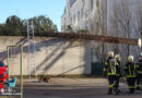 Oö: Baum bei missglückter Fällung auf Dach einer benachbarten Fahrradgarage in Wels gelandet