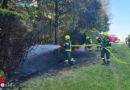 Oö: Zwei Wehren bekämpfen Heckenbrand in Tumeltsham