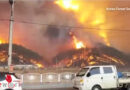 Südkorea: Waldbrand stand knapp vor Atomkraftwerk