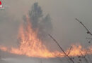 Nö: Wald- und Flurbrand am Gruppenübungsplatz in Großmittel / Haschendorf (Ebenfurth)