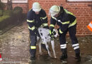 D: Stallgebäude in Groß Meckelsen in Flammen → Feuerwehr rettet Wohnhaus und mehrere Tiere