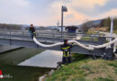 Nö: Größerer Ölfilm auf der Donau bei Krems