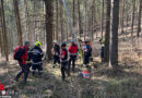 Stmk: Absturz eines Paragleiters im Wald in Trofaiach