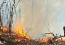 Nö: Waldbrand in Ramsau →  6 Hektar Waldboden in Brand