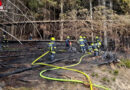 Nö: 120 Feuerwehrmitglieder verhindern Groß-Waldbrand im Steilgelände in Frankenfels