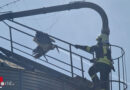 D: Storch in Draht auf 10 m hohem Silo verfangen