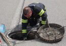 Oö: Vier Entenküken in Wels aus Regenwasserschacht gerettet