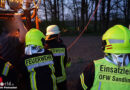 D: Heißluftballon bleibt mit Sicherungsseil in Baum hängen → Feuerwehr hilft