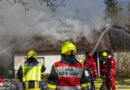 Nö: Scheunenbrand greift in Seefeld-Kadolz auf Wohnhaus über →  mehrere Tiere gerettet, 11 Wehren im Einsatz