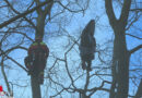 D: Abgestürzter Gleitschirmflieger hing in Werdohl in ca. 20m Höhe in einem Baum fest