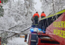 Bayern: Einsätze nach April-Schneefall in Würzburg