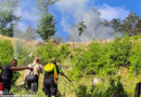 vfdb warnt: Brisante Entwicklung bei Vegetationsbränden