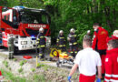 Bgld: Eingeklemmter Lenker nach Pkw-Unfall bei Nikitsch