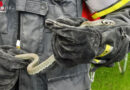 Bgld: Erst kam die Schlange, dann auch die Feuerwehr zur Kindergeburtstagsfeier