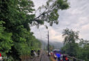 Nö: Baum löst Brand bei der Bahn in Ernsthofen aus
