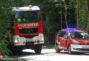 Oö: Lenkerin mit Auto bei Burg Altpernstein in Micheldorf in steiles Waldstück gestürzt