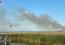 Bgld: Schilfbrand über rund 30.000 m2 bei starkem Wind bei Breitenbrunn