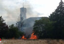 Nö: Vegetationsbrand hinter der Herz Mariä Kirche in Wr. Neustadt